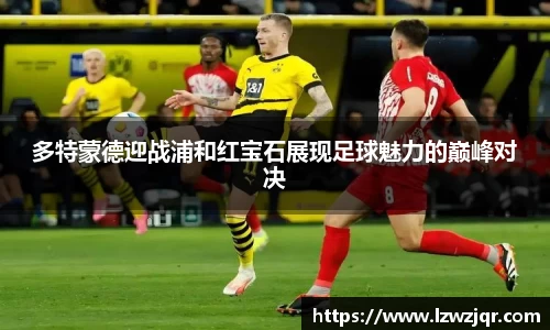 熊猫体育app官网入口